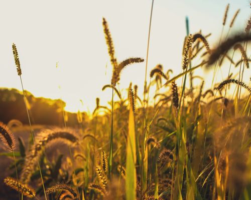 Small Town Media & Production