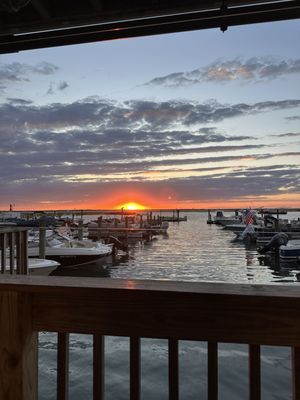 The Surfing Pig by null