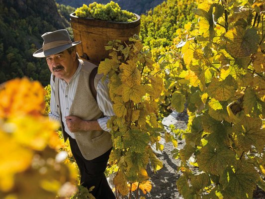 St. Jodern winery by null