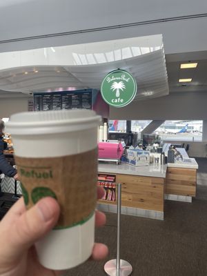 Dolores Park Cafe SFO Terminal 2 Concourse C by null
