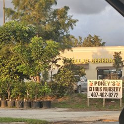 Pokey's Citrus Nursery