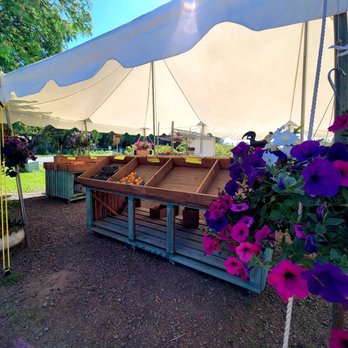 Kirby Farm - a display of vegetables under a tent - Farmers Market Near Me - Corbett, Oregon