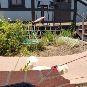 Whiskey 'N Rye Smokehouse - corner table, dog friendly - Barbeque Near Me - Solvang, California Whiskey 'N Rye Smokehouse - corner table, dog friendly - Barbeque Near Me - Solvang, California