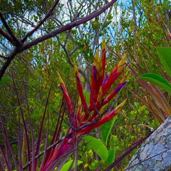 Anhinga Trail - Hiking Near Me - Homestead, Florida Anhinga Trail - Hiking Near Me - Homestead, Florida