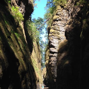 Oneonta Falls - Parks Near Me - Corbett, Oregon Oneonta Falls - Parks Near Me - Corbett, Oregon