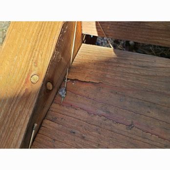 Js’ Garden Works - This one where the wood already cracked, Took that at 6 months old. - Landscaping Near Me - Bakersfield, California Js’ Garden Works - This one where the wood already cracked, Took that at 6 months old. - Landscaping Near Me - Bakersfield, California