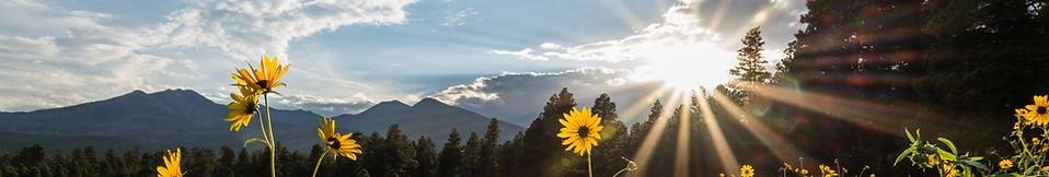 Mt Calvary Early Learning Center - childcare center in Flagstaff, AZ