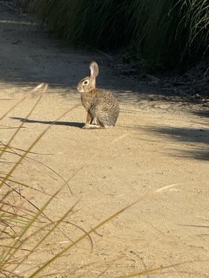 12405 E Waterfront Dr by null