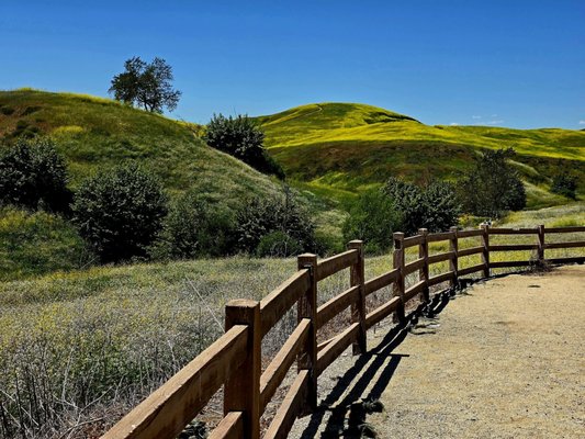 Chino Hills State Park by null