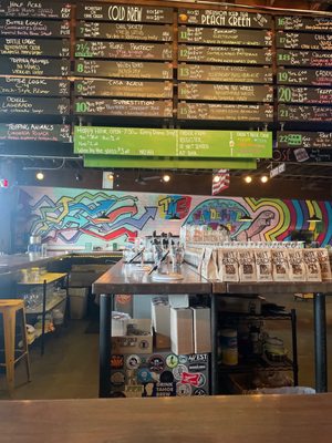 The Wandering Tortoise by null