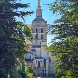 Cathédrale Notre-Dame des Doms