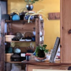 Stone Leaf Teahouse - A selection of their teapots for sale!