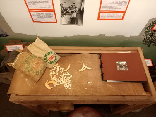 Irvine Historical Society & Museum by null