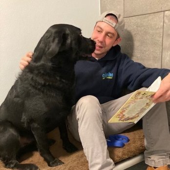 Alpha Pet Resort - Pet Sitting Near Me - Culpeper, Virginia Alpha Pet Resort - Pet Sitting Near Me - Culpeper, Virginia