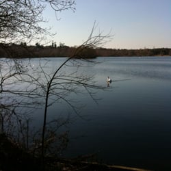Wellington Country Park