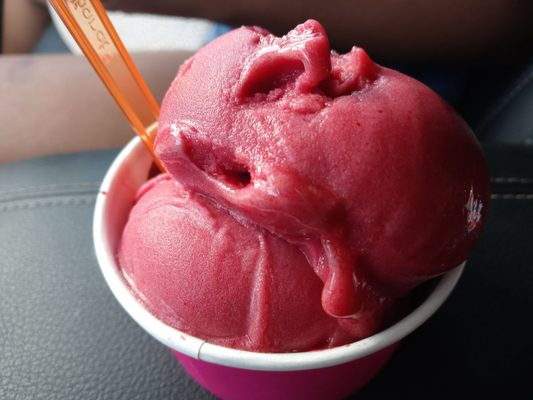 RAY’S PIZZARIA N.Y. STYLE - Updated August 2025 - 265 Photos & 263 ...