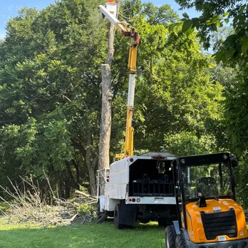 White Land Management - Tree Services Near Me - Carthage, Tennessee White Land Management - Tree Services Near Me - Carthage, Tennessee