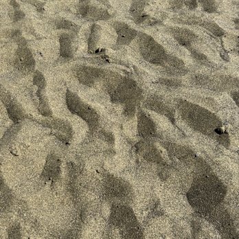 Green Sand Beach - Beaches Near Me