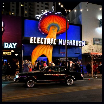 Fremont Street Experience by null Fremont Street Experience by null