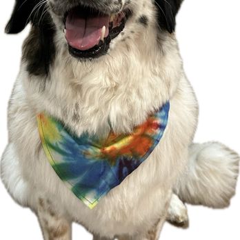 OC Pet Grooming - Pet Groomers Near Me - La Habra, California OC Pet Grooming - Pet Groomers Near Me - La Habra, California