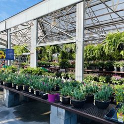 More plants!
