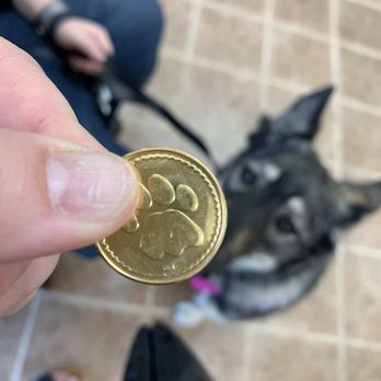 Luna's Dog Wash - The cute token given to us to start Daisy's bath - Pet Groomers Near Me - Glendora, California Luna's Dog Wash - The cute token given to us to start Daisy's bath - Pet Groomers Near Me - Glendora, California