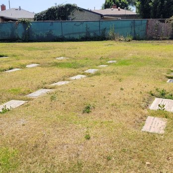 Forest Lawn - Long Beach - Weeds sprouting and looks dry. - Mortuary Services Near Me - Long Beach, California