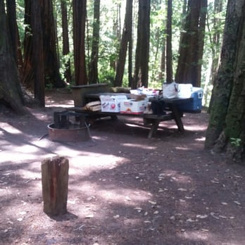 Butano State Park - Campsite 10. It was okay but very close to the road and directly across from the bathrooms - Parks Near Me - Pescadero, California