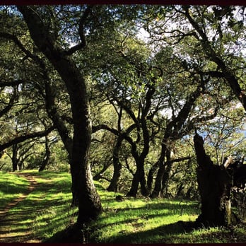 Briones Regional Park - Parks Near Me - Martinez, California Briones Regional Park - Parks Near Me - Martinez, California
