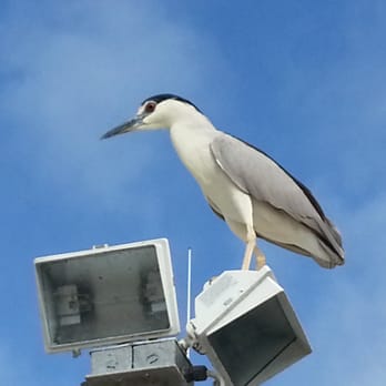 Chubasco 2 Sportfishing - Fishing Near Me - Oceanside, California