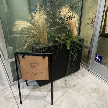 Little Ox Coffee - Coffee & Tea Near Me - Fullerton, California Little Ox Coffee - Coffee & Tea Near Me - Fullerton, California