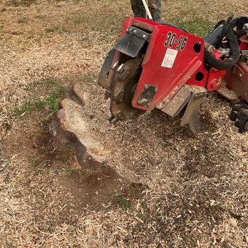 Legacy Logging & Land Management - Stump grinder and 30" stump - Tree Services Near Me - Newport, Washington Legacy Logging & Land Management - Stump grinder and 30" stump - Tree Services Near Me - Newport, Washington