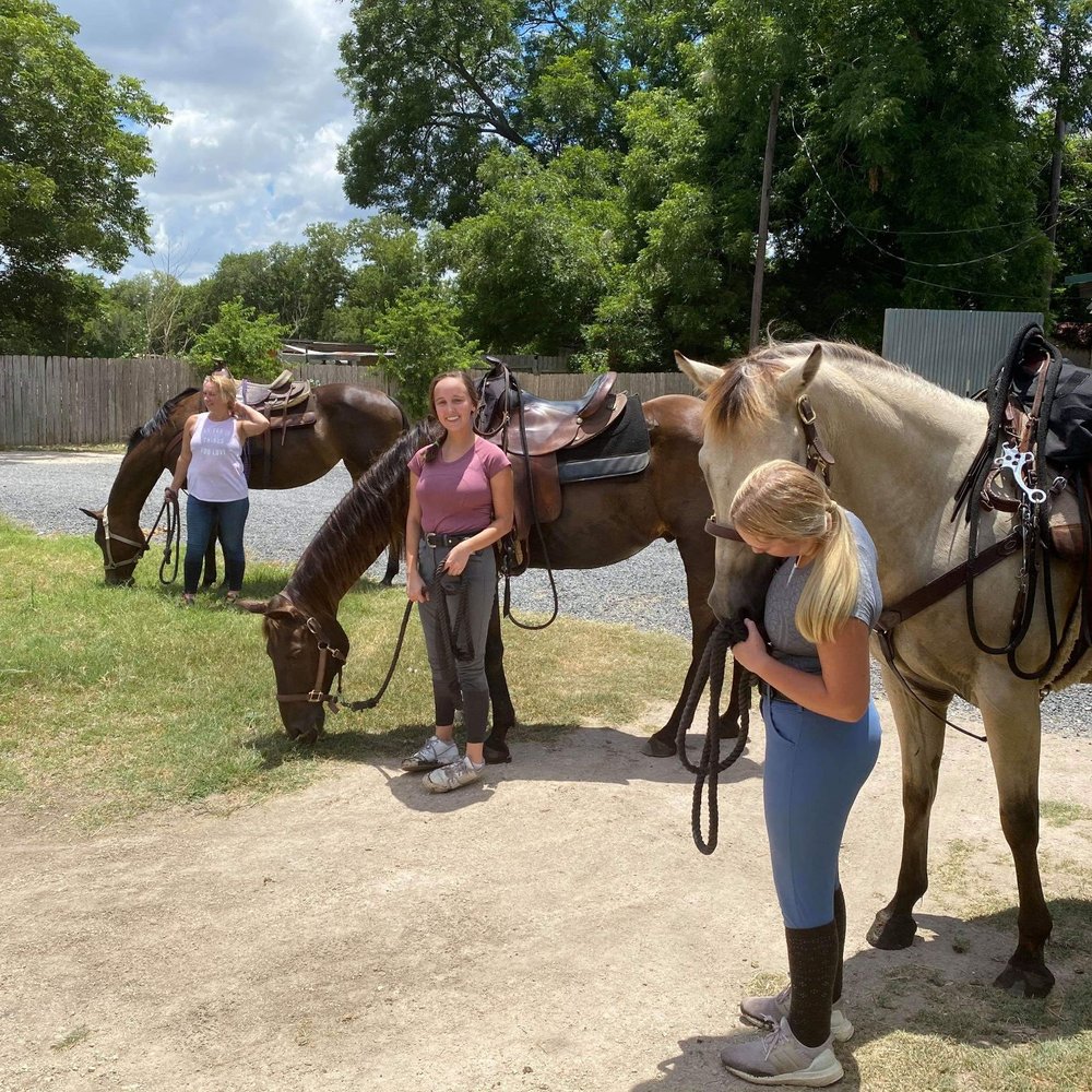 Texas Trail Rides - Horseback Riding Near Me - Austin, Texas Texas Trail Rides - Horseback Riding Near Me - Austin, Texas