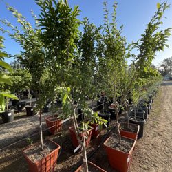 Cherry Valley Nursery & Landscape Supply