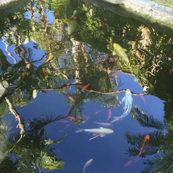 Humphreys Half Moon Inn - Koi Pond - San Diego, CA