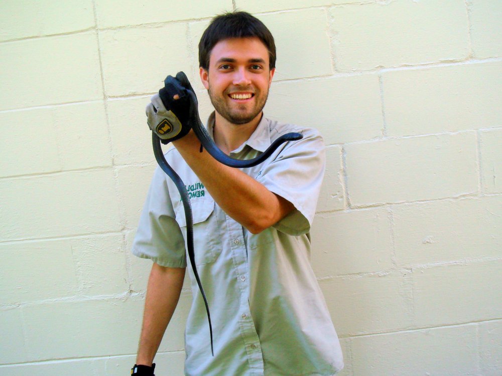 PEST ANIMAL REMOVAL LAKE COUNTY Updated September 2024 Request Information 28 Photos 880