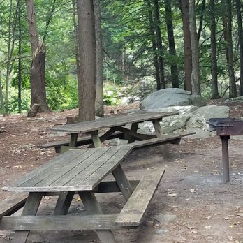 Burr Pond State Park - we saw tables and grills all over the park - Parks Near Me - Torrington, Connecticut