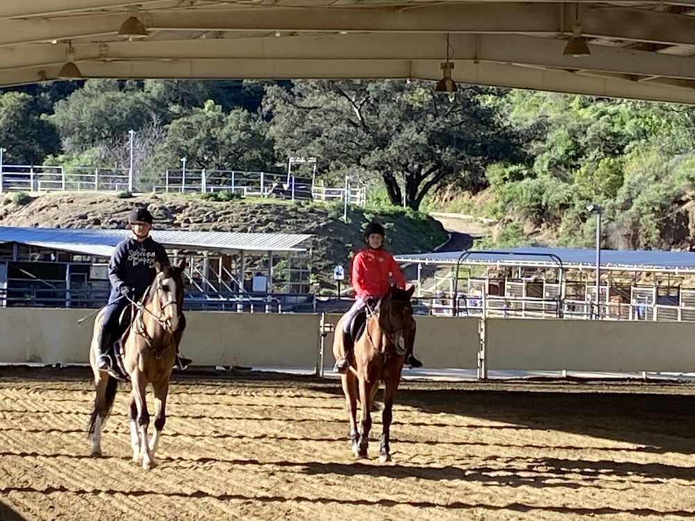 Moonstone Riding Academy  Logo