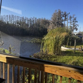 Ukulele Brand's - View - American Near Me - Land O Lakes, Florida Ukulele Brand's - View - American Near Me - Land O Lakes, Florida