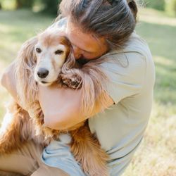 Compassionate Care - in home dog euthanasia