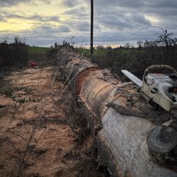 Sandy Chain Saw