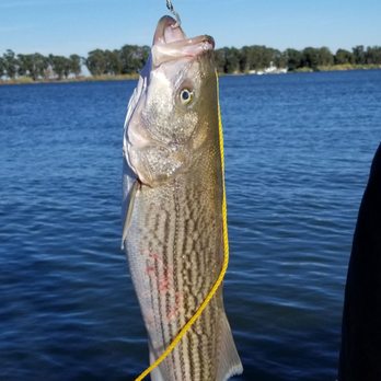 Hap's Bait - Fishing Near Me - Rio Vista, California