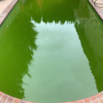 Sharky's Pools - Green Pool - Pool & Hot Tub Service Near Me