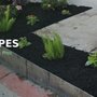 Photo of Sierra Scapes