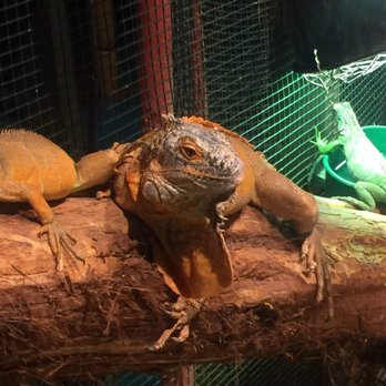 Austin Aquarium - Aquariums Near Me - Austin, Texas