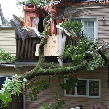 KD Tree Service - Tree Services Near Me - Rochester, New York KD Tree Service - Tree Services Near Me - Rochester, New York