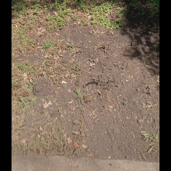 Google Fiber - All grass missing and tore up. Soft spots now that you sink in - Home Network Installation Near Me - Austin, Texas