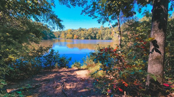 Paris Mountain State Park by null