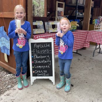 Blase Family Farm - Popsicles! - Pick Your Own Farms Near Me - Rockwall, Texas Blase Family Farm - Popsicles! - Pick Your Own Farms Near Me - Rockwall, Texas
