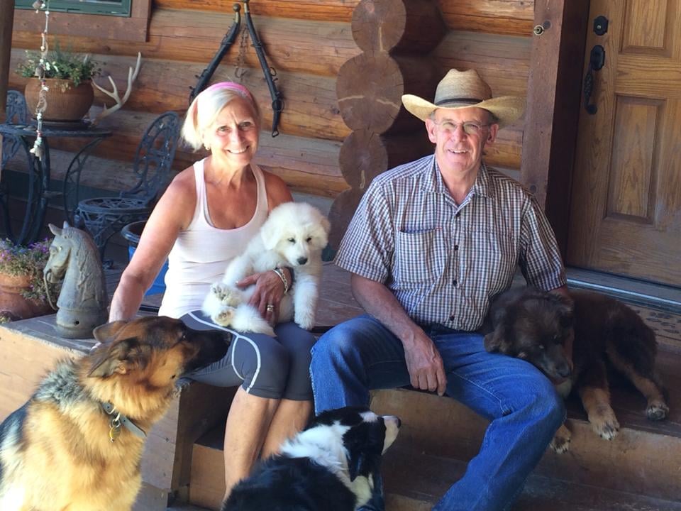 BRIDGER VETERINARY CLINIC Updated July 2024 17 Vet Ln, Bridger